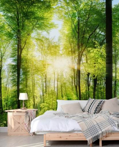 mural verde personalizable de un bosque llamado Forest Panoramic con rayos de sol para dormitorio mural verde personalizable de un bosque llamado Forest Panoramic con rayos de sol para dormitorio