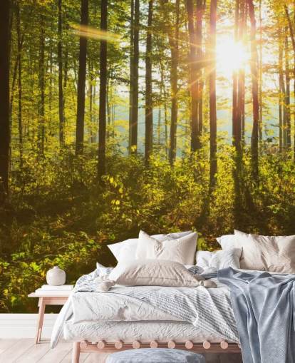 green and brown woodland wallpaper mural called Forest Sunlight for bedrooms, home offices and dining rooms
