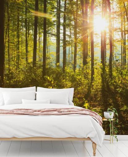 green and brown woodland wallpaper mural called Forest Sunlight for bedrooms, home offices and dining rooms