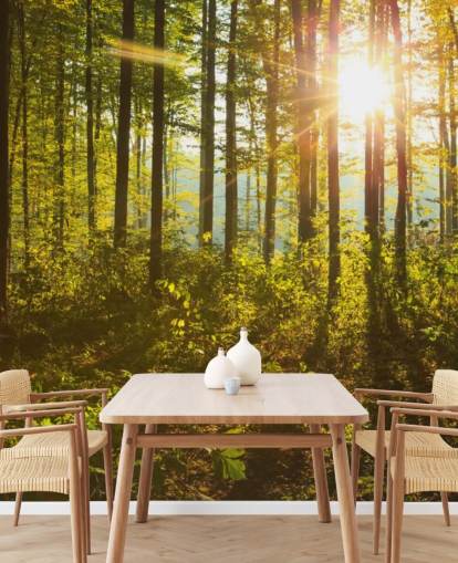 carta da parati murale verde e marrone con boschi chiamata Forest Sunlight per camere da letto, uffici domestici e sale da pranzo carta da parati murale verde e marrone con boschi chiamata Forest Sunlight per camere da letto, uffici domestici e sale da pranzo