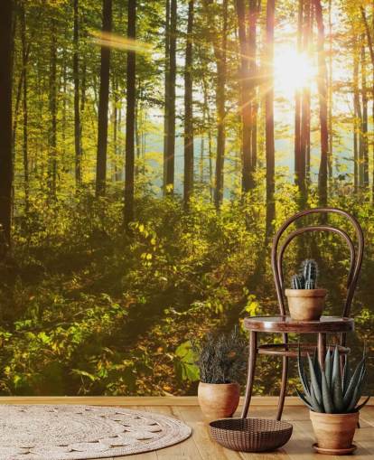 vihreä ja ruskea metsätaustakuvamaalaus nimeltä Forest Sunlight makuuhuoneisiin, kotitoimistoihin ja ruokasaleihin