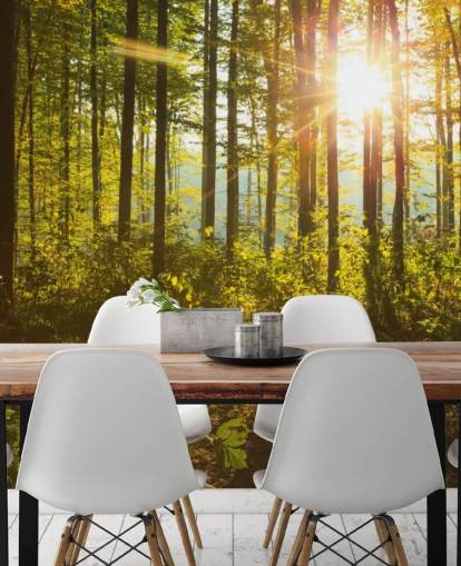 groene en bruine bosbehangmuurschildering genaamd Forest Sunlight voor slaapkamers, thuiskantoren en eetkamers