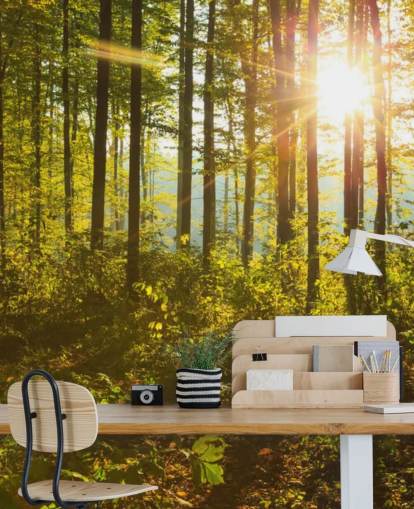 grüne und braune Waldtapete namens Forest Sunlight für Schlafzimmer, Heimbüros und Esszimmer