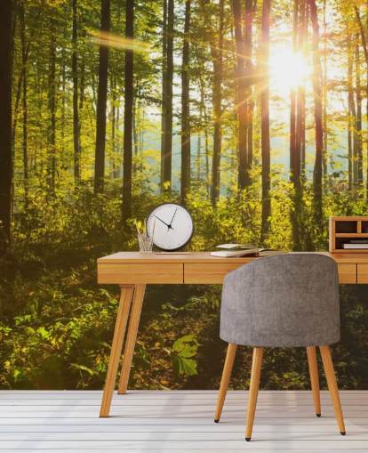 mural de papel pintado de bosque verde y marrón llamado Forest Sunlight para dormitorios, oficinas en casa y comedores