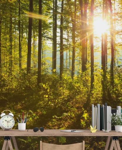 green and brown woodland wallpaper mural called Forest Sunlight for bedrooms, home offices and dining rooms