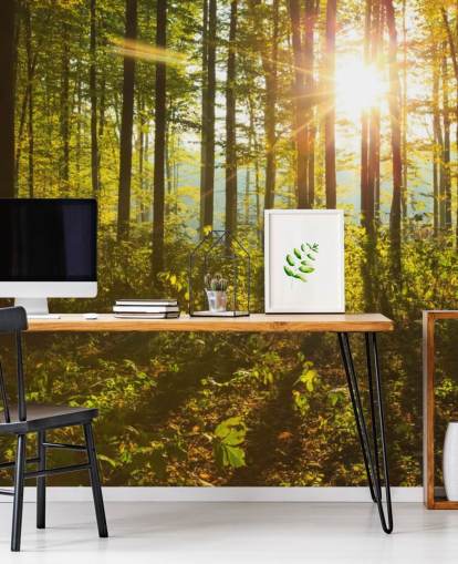 carta da parati murale verde e marrone con boschi chiamata Forest Sunlight per camere da letto, uffici domestici e sale da pranzo