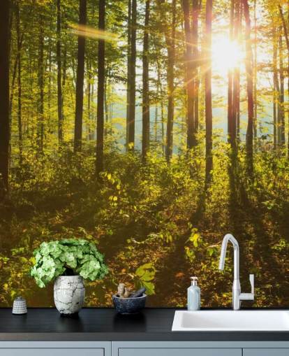 green and brown woodland wallpaper mural called Forest Sunlight for bedrooms, home offices and dining rooms green and brown woodland wallpaper mural called Forest Sunlight for bedrooms, home offices and dining rooms