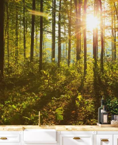 mural de papel pintado de bosque verde y marrón llamado Forest Sunlight para dormitorios, oficinas en casa y comedores