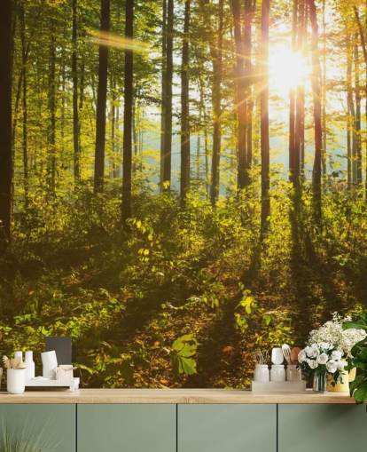mural de papel de parede verde e marrom chamado Forest Sunlight para quartos, escritórios domésticos e salas de jantar