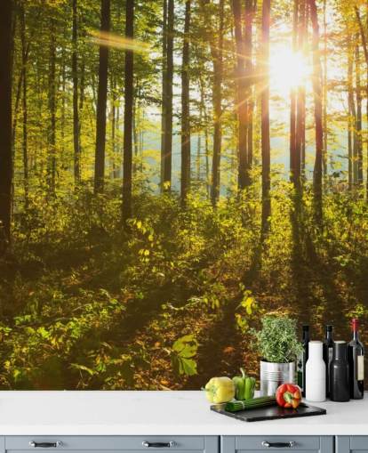grønt og brunt skogstapetveggmaleri kalt Forest Sunlight for soverom, hjemmekontorer og spiserom