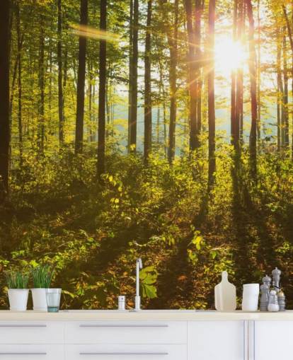 grön och brun skogstapetväggmålning kallad Forest Sunlight för sovrum, hemmakontor och matsalar grön och brun skogstapetväggmålning kallad Forest Sunlight för sovrum, hemmakontor och matsalar
