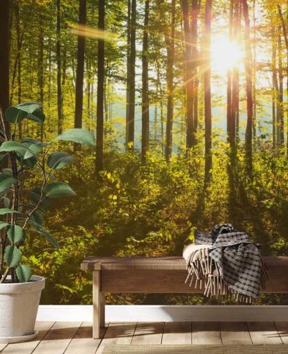 grønt og brunt skovtapet vægmaleri kaldet Forest Sunlight til soveværelser, hjemmekontorer og spisestuer