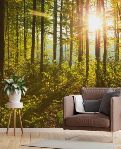 carta da parati murale verde e marrone con boschi chiamata Forest Sunlight per camere da letto, uffici domestici e sale da pranzo