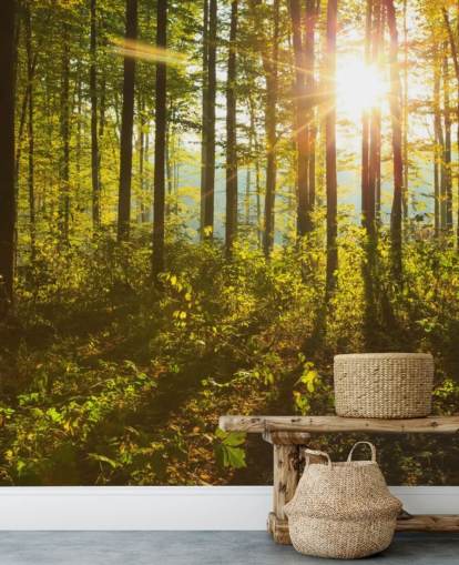 green and brown woodland wallpaper mural called Forest Sunlight for bedrooms, home offices and dining rooms