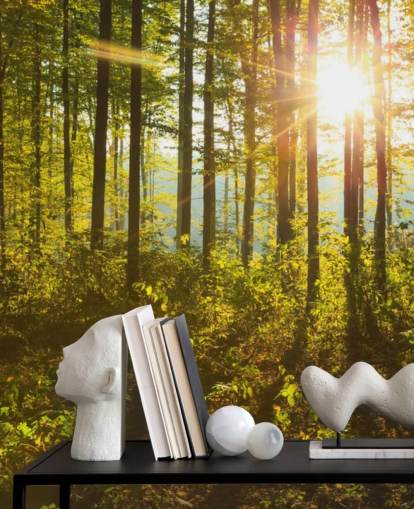 mural de papel de parede verde e marrom chamado Forest Sunlight para quartos, escritórios domésticos e salas de jantar mural de papel de parede verde e marrom chamado Forest Sunlight para quartos, escritórios domésticos e salas de jantar