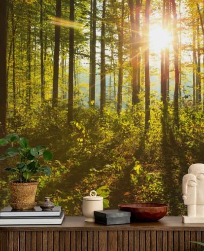 mural de papel pintado de bosque verde y marrón llamado Forest Sunlight para dormitorios, oficinas en casa y comedores