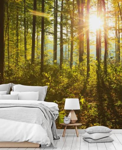 mural de papel de parede verde e marrom chamado Forest Sunlight para quartos, escritórios domésticos e salas de jantar