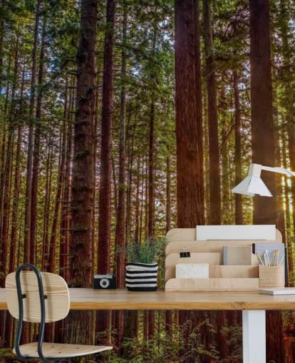 Papel pintado de bosque de tronco rojo iluminado por el sol