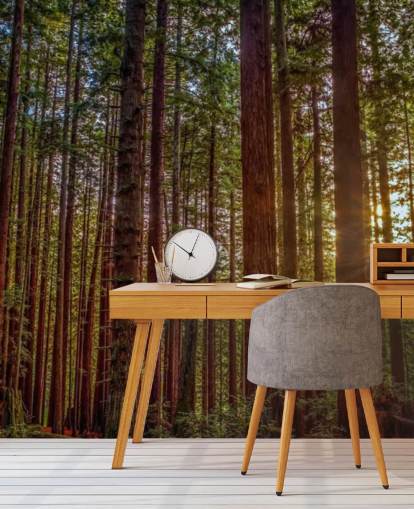 Sunlit Rød Trunk Tree Skov Bag