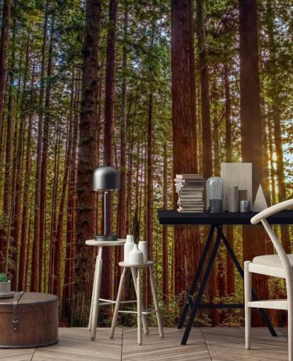 Papel pintado de bosque de tronco rojo iluminado por el sol