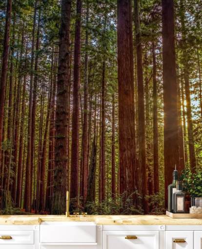 Papel pintado de bosque de tronco rojo iluminado por el sol
