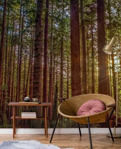 Sunlit Red Trunk Baum Wald Tapete