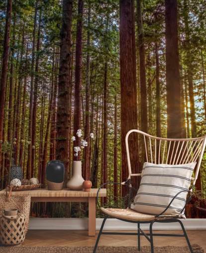 Sunlit Red Trunk Baum Wald Tapete Sunlit Red Trunk Baum Wald Tapete