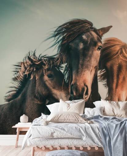 three brown horses photo wallpaper