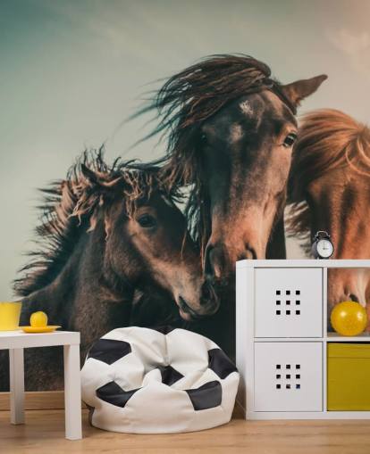 drie bruine paarden fotobehang