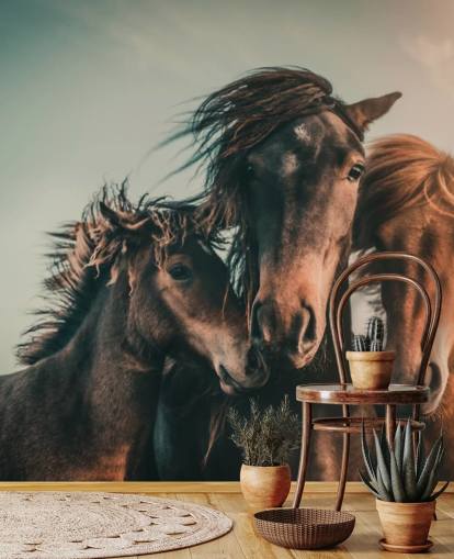 tre brune hester fototapet tre brune hester fototapet