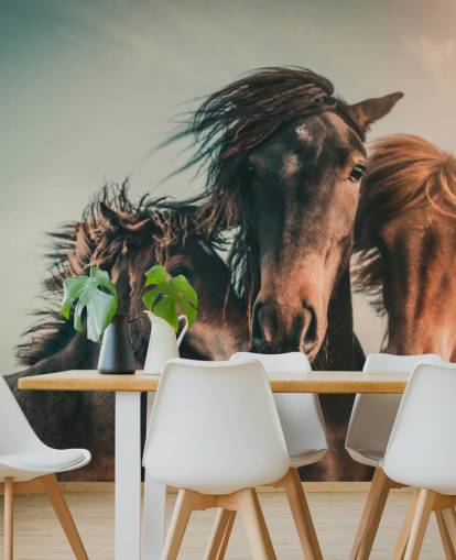 three brown horses photo wallpaper three brown horses photo wallpaper