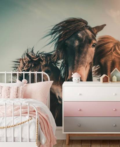 drie bruine paarden fotobehang drie bruine paarden fotobehang