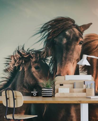 drie bruine paarden fotobehang drie bruine paarden fotobehang