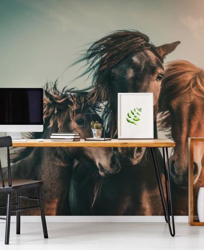 three brown horses photo wallpaper