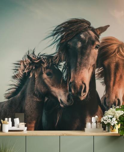 drie bruine paarden fotobehang drie bruine paarden fotobehang