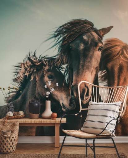 three brown horses photo wallpaper