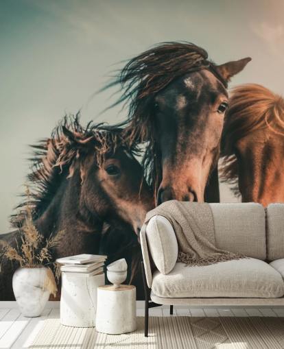 three brown horses photo wallpaper