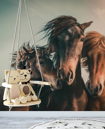 fondo de pantalla de fotos de tres caballos marrones fondo de pantalla de fotos de tres caballos marrones