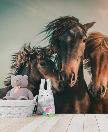 three brown horses photo wallpaper