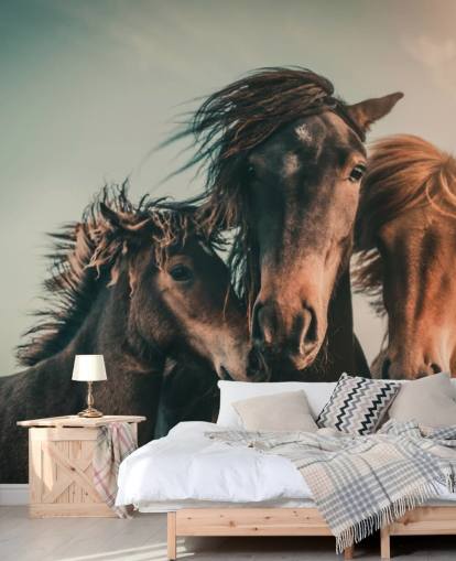 three brown horses photo wallpaper