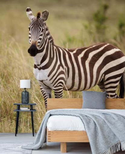 anpassbares Zebra-Tapeten-Wandbild namens Zebra in Long Grass