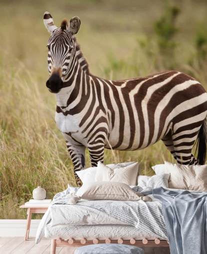 mural de papel pintado de cebra personalizable llamado Zebra in Long Grass