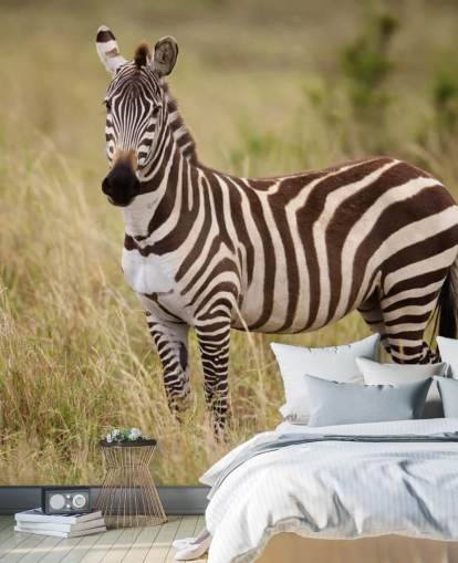 mural de papel pintado de cebra personalizable llamado Zebra in Long Grass