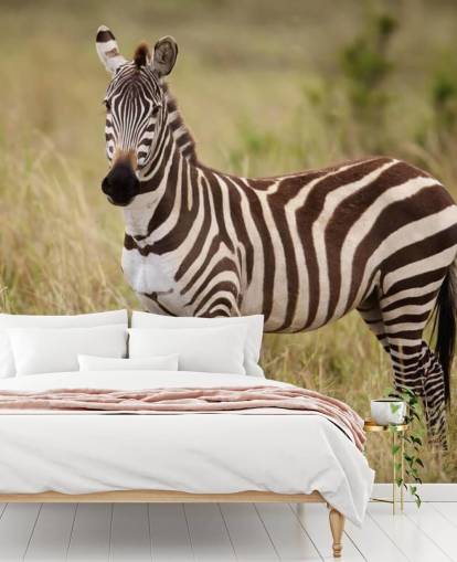 mural de papel pintado de cebra personalizable llamado Zebra in Long Grass