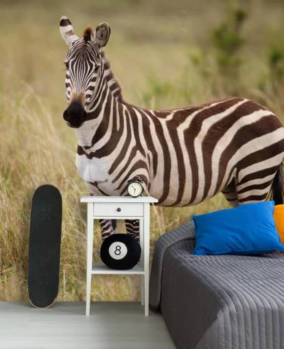 customisable zebra wallpaper mural called Zebra in Long Grass