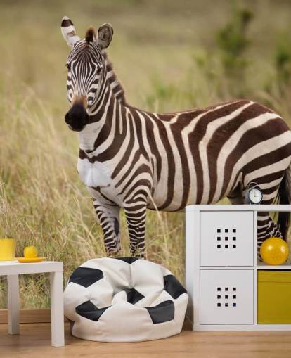 mural de papel de parede zebra personalizável chamado Zebra in Long Grass