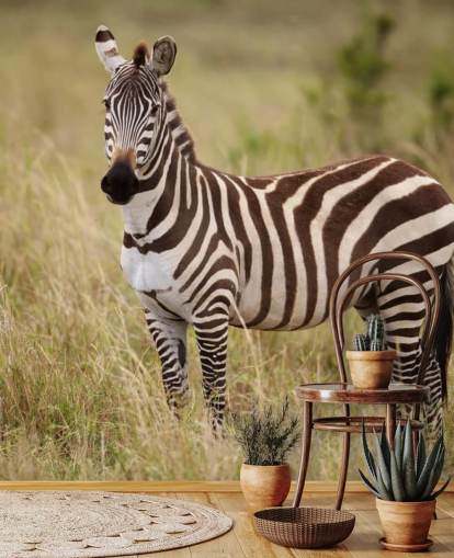 anpassbares Zebra-Tapeten-Wandbild namens Zebra in Long Grass