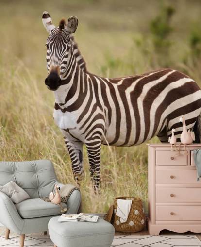 mural de papel pintado de cebra personalizable llamado Zebra in Long Grass