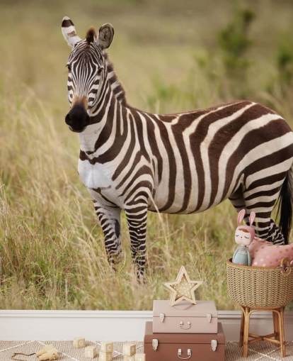 anpassbares Zebra-Tapeten-Wandbild namens Zebra in Long Grass