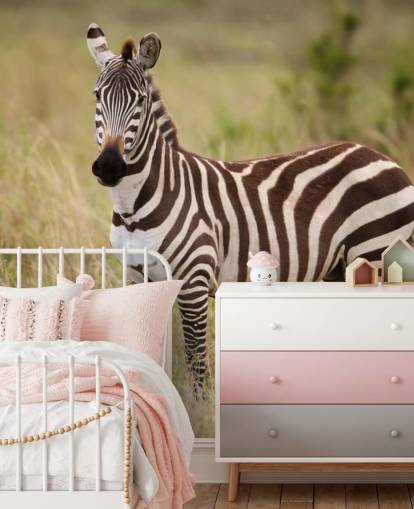 customizable zebra wallpaper mural called Zebra in Long Grass customizable zebra wallpaper mural called Zebra in Long Grass